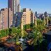 Manhattan Bar Giving Away $30,000 Worth Of Palm Trees